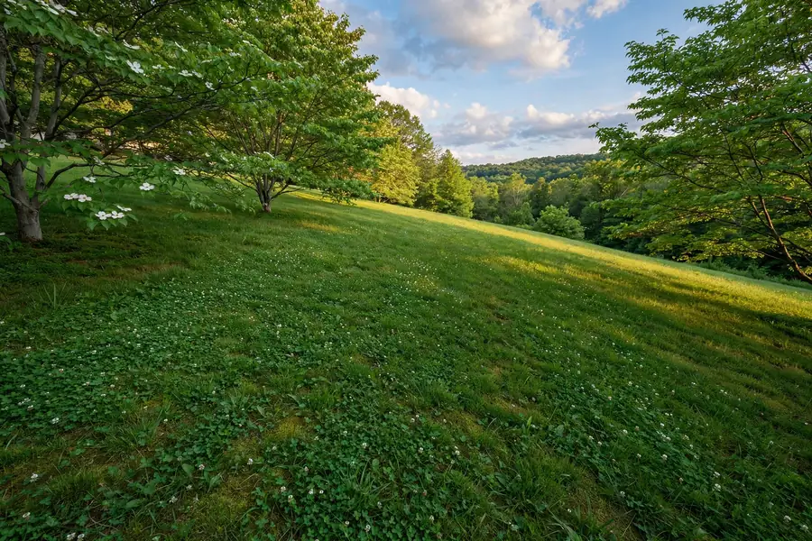 Freshly sprayed green hydroseed mulch covering a new lawn in Knoxville