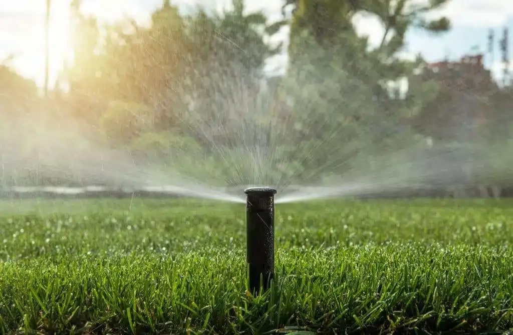 Sprinkler watering a new green lawn at sunrise in East Tennessee